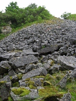 Scree from Ricklow Quarry [PS]